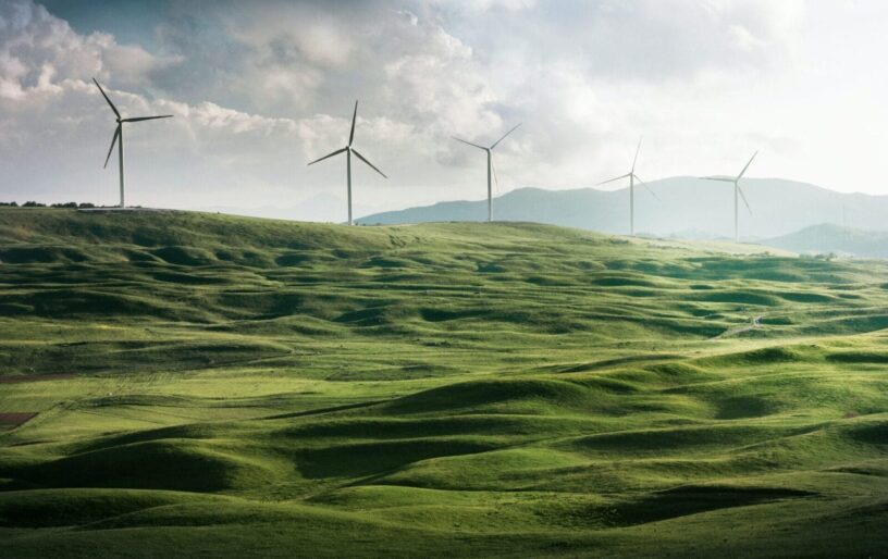 Five Eco-Friendly Green Trademarks — Going Green