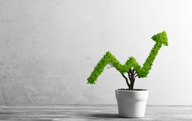 Brand Protection Maturity Report