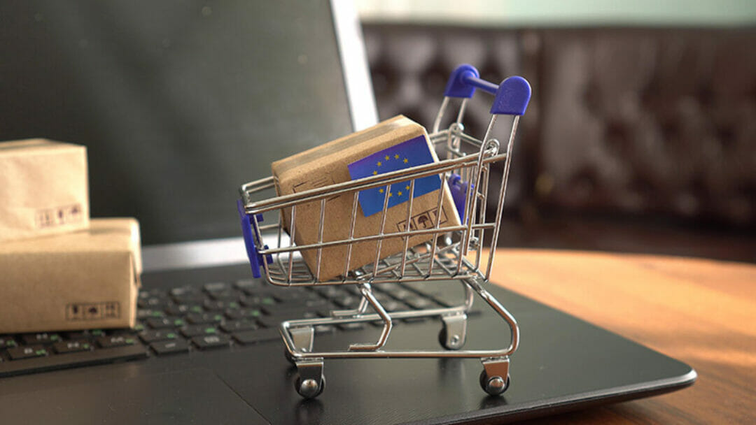 White-paper - The Digital Services Act: What do Brand